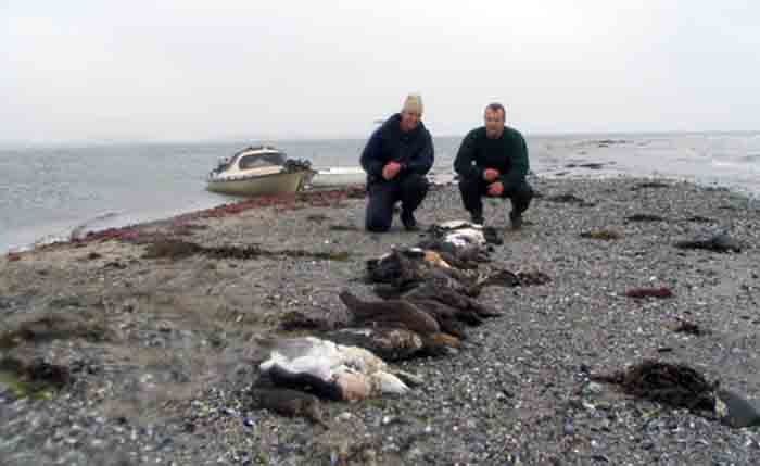 Tilfredes strandjægere med paraden