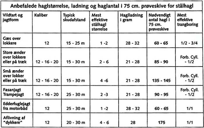 Test af skudbillede