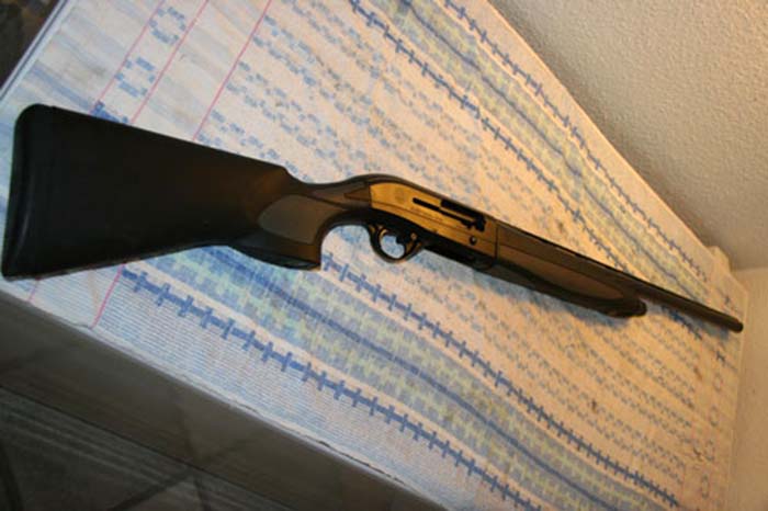 Beretta AL 391